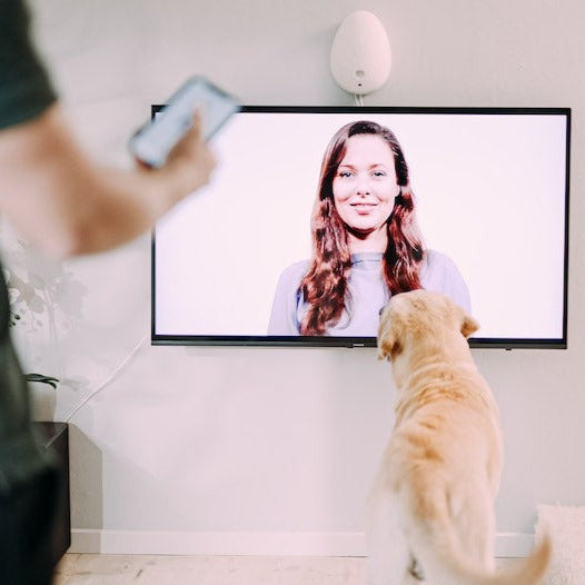 Smart Play Intelligent Dog Enrichment Hub — Brain-Boosting Mental Challenge Treat Game with Sound Desensitization Training