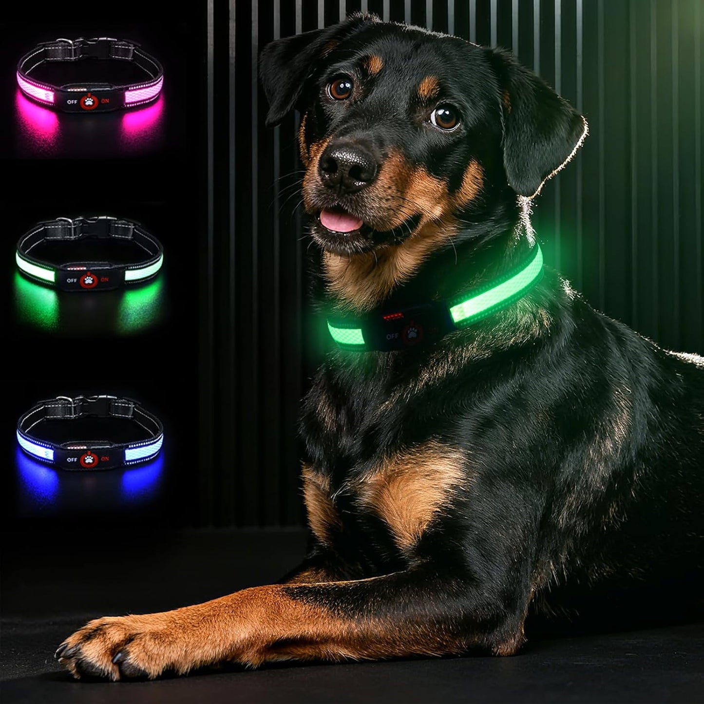 LED Glow Dog Collar — Rechargeable, Waterproof & Night-Safe Illumination