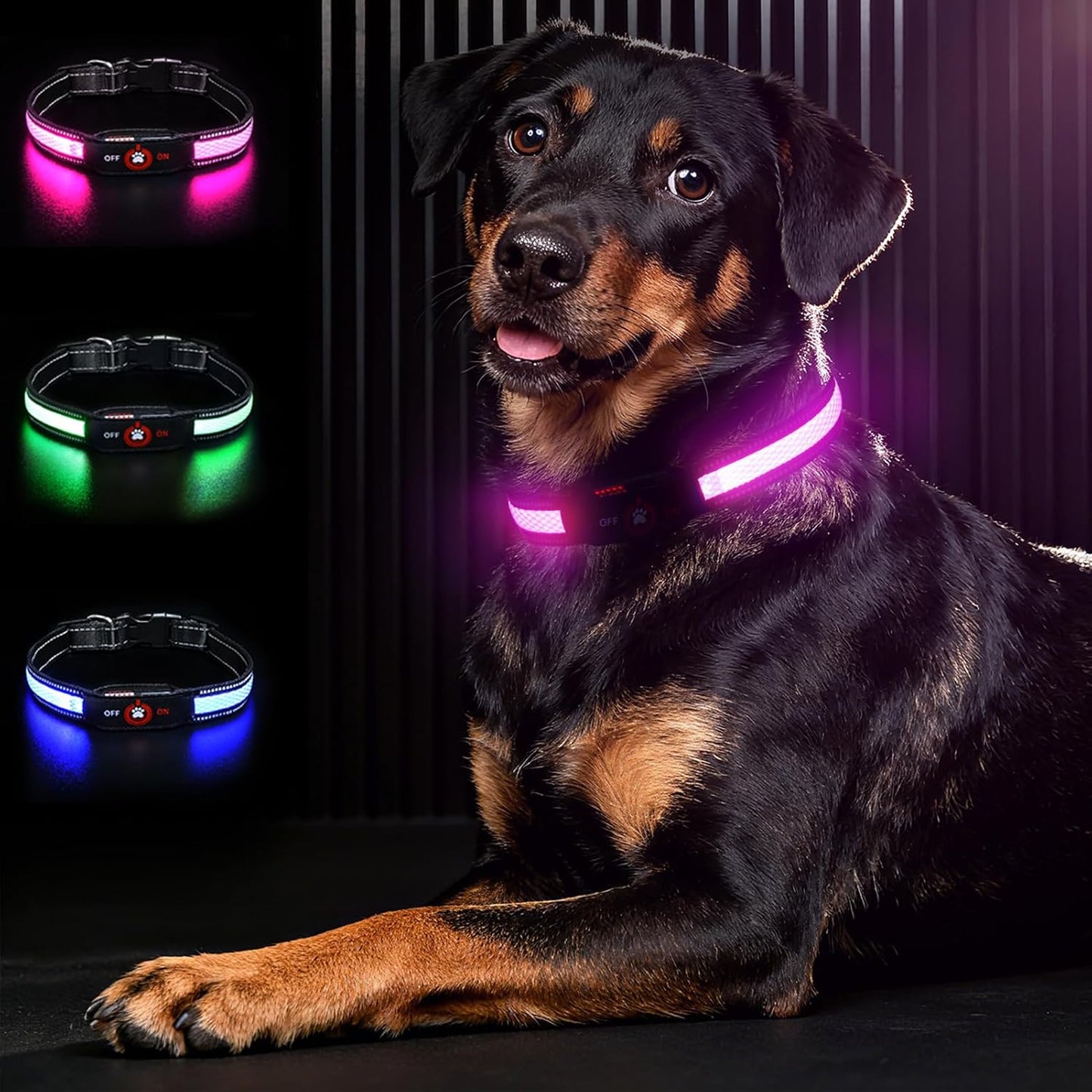 LED Glow Dog Collar — Rechargeable, Waterproof & Night-Safe Illumination