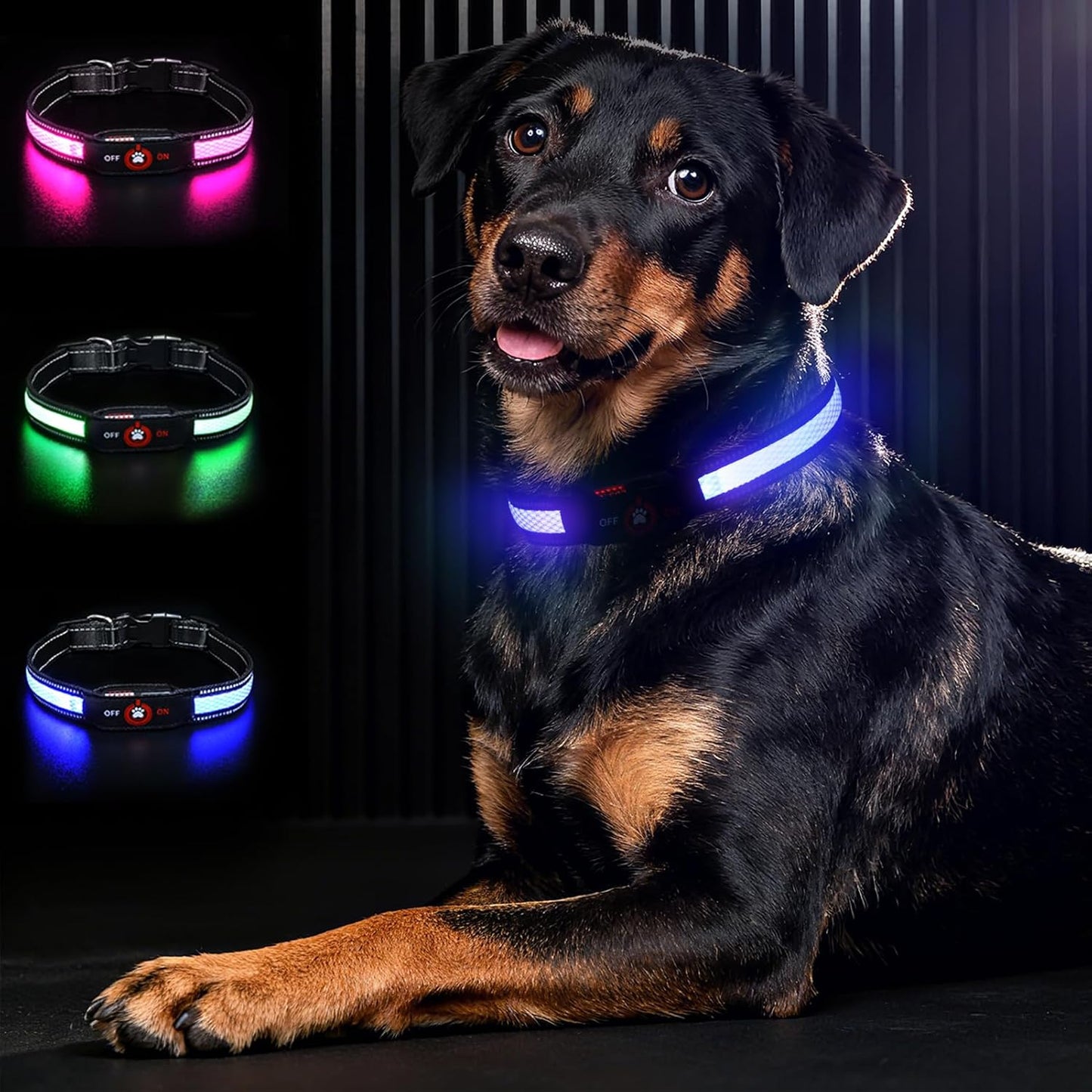 LED Glow Dog Collar — Rechargeable, Waterproof & Night-Safe Illumination