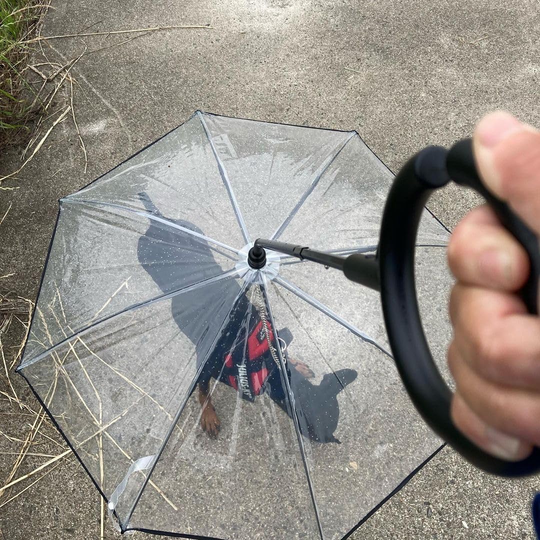 Transparent Small-Dog Umbrella Leash — Keep Petite Breeds Dry on Rainy Walks