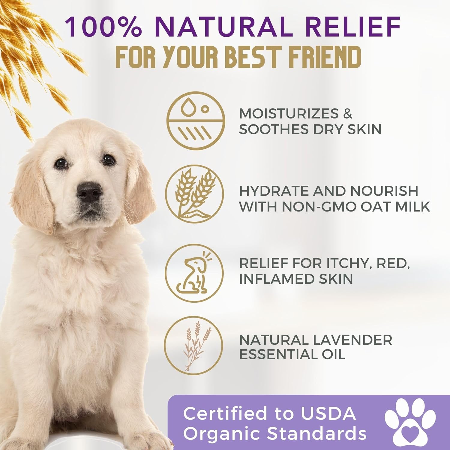 Nourishing All-Natural Organic Oatmeal Dog Shampoo with Aloe, Coconut & Lavender - Soothes Itchy Skin, Hypoallergenic & Moisturizing - 16 Oz, Made in the USA