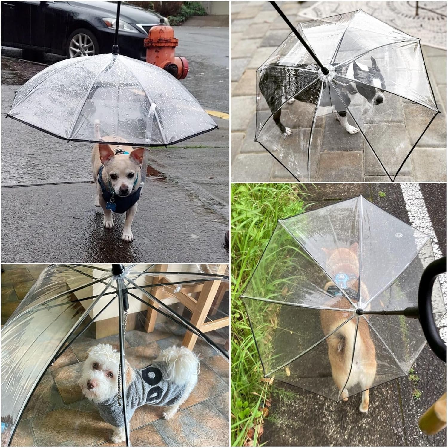 Transparent Small-Dog Umbrella Leash — Keep Petite Breeds Dry on Rainy Walks