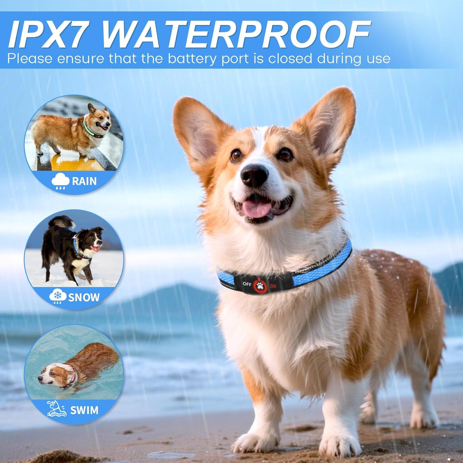 LED Glow Dog Collar — Rechargeable, Waterproof & Night-Safe Illumination