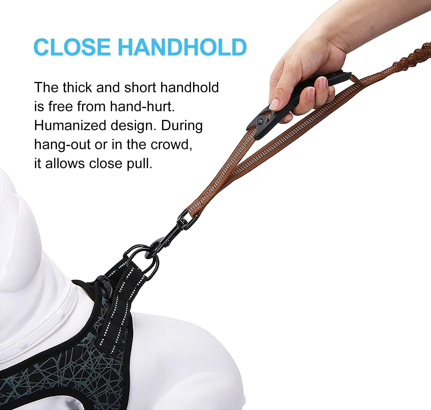 Reflective Shock-Absorbing Bungee Dog Leash — Heavy-Duty 6FT Lead with Padded Handle for Medium & Large Breeds