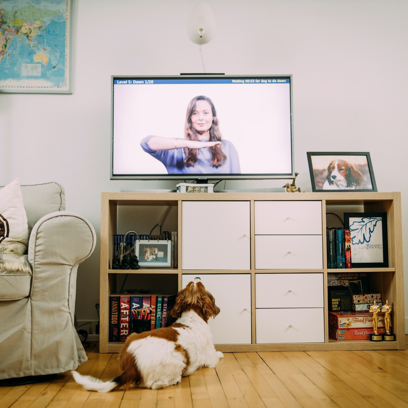 Smart Play Intelligent Dog Enrichment Hub — Brain-Boosting Mental Challenge Treat Game with Sound Desensitization Training