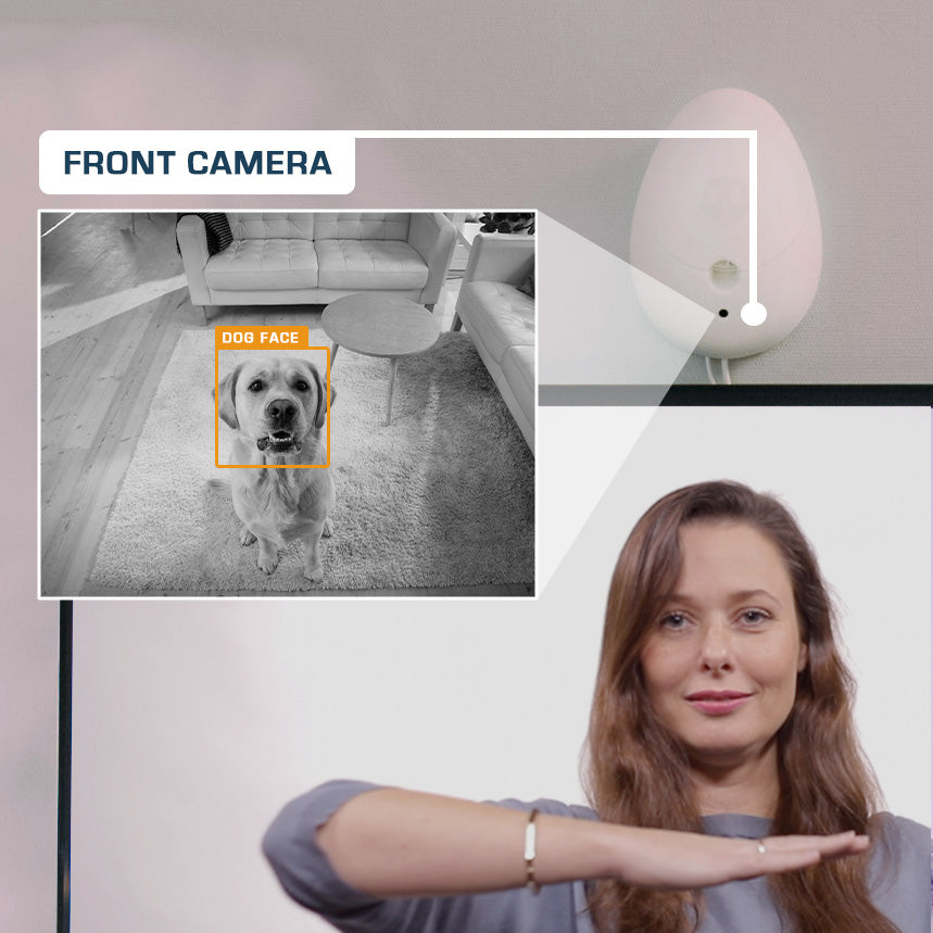 Smart Play Intelligent Dog Enrichment Hub — Brain-Boosting Mental Challenge Treat Game with Sound Desensitization Training