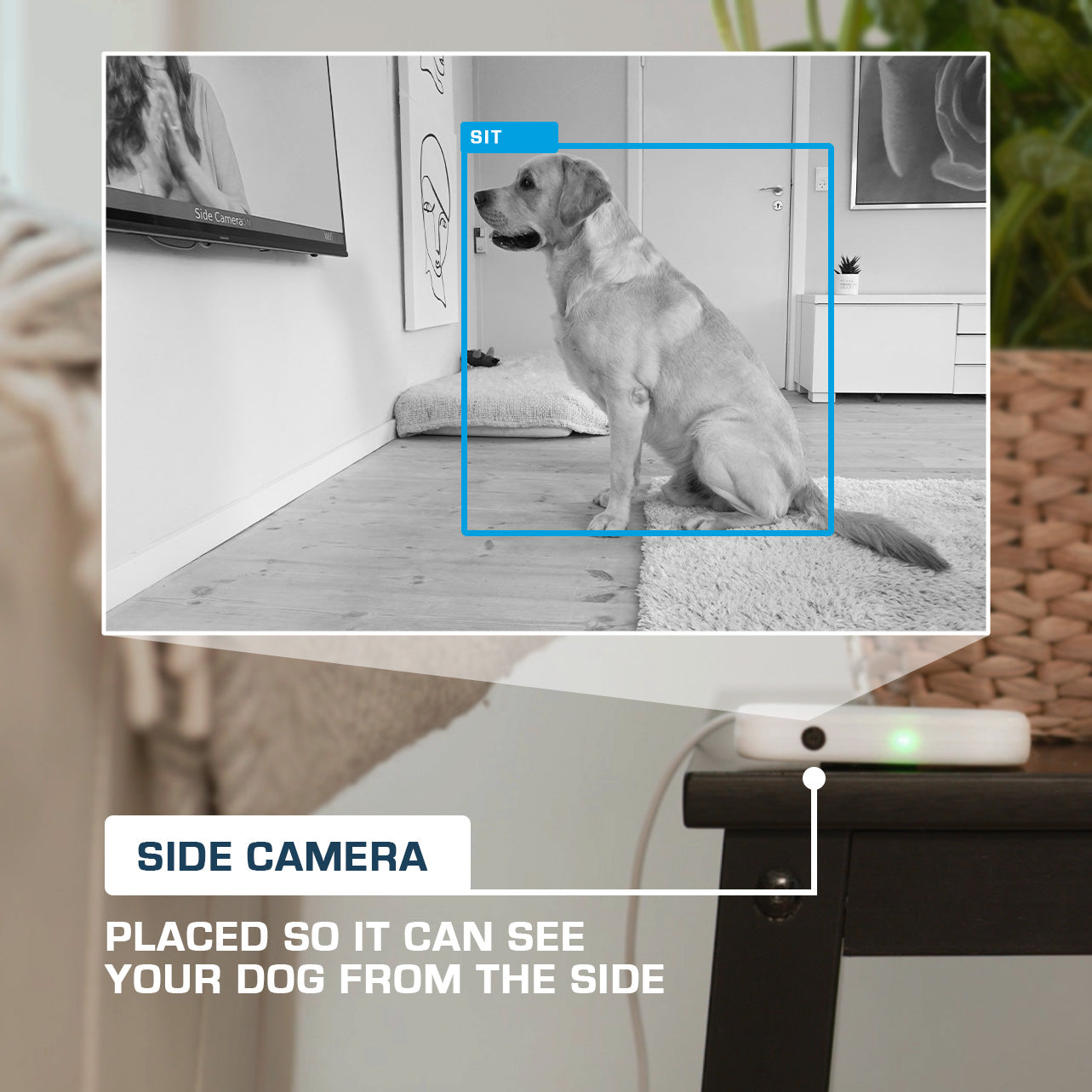 Smart Play Intelligent Dog Enrichment Hub — Brain-Boosting Mental Challenge Treat Game with Sound Desensitization Training